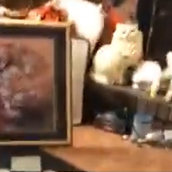 ISO: in search of my grandma’s vintage ceramic white Persian cat statue 🙏🏼 - Picture 4 of 15